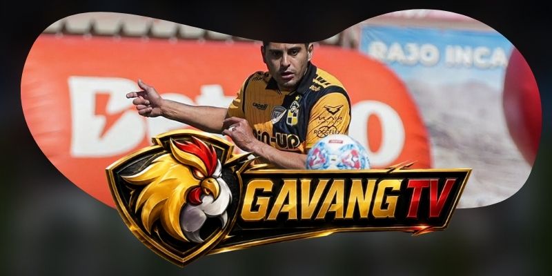 Gợi ý chốt kèo tổng hợp trận Coquimbo Unido vs Cobreloa ngày 08/10